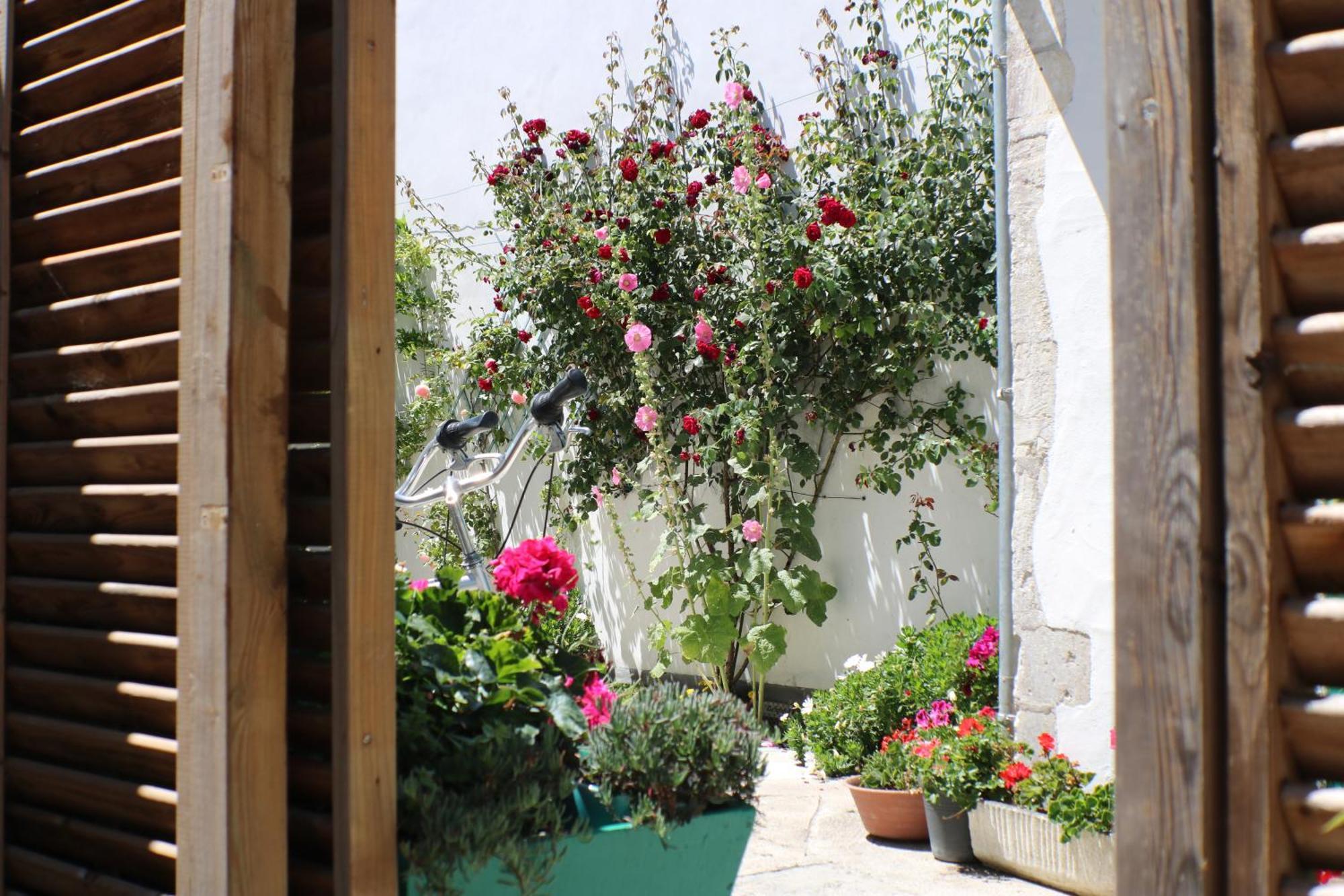 Beau T3 *** pour 2 à 4 pers avec patio privatif Apartamento La Couarde-sur-Mer Exterior foto