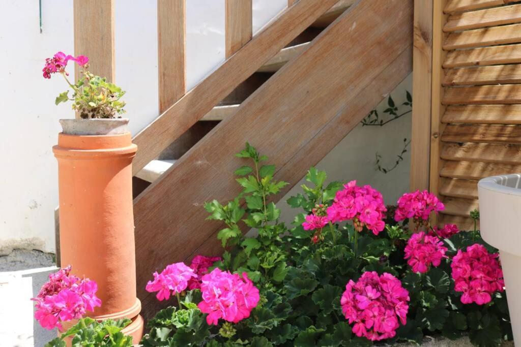 Beau T3 *** pour 2 à 4 pers avec patio privatif Apartamento La Couarde-sur-Mer Exterior foto